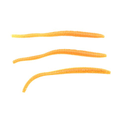 PowerBait Power Floating Trout Worm