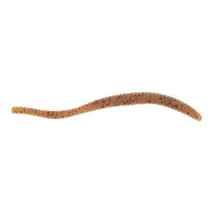 PowerBait Power Floating Trout Worm