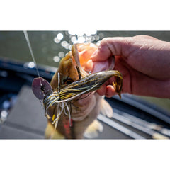 PowerBait The Deal