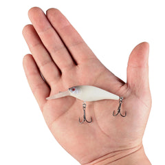 Flicker Shad