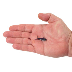 PowerBait Power Vibe