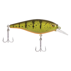 Flicker Shad Shallow