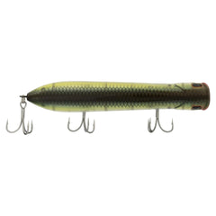 Cane Walker Saltwater