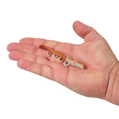 Gulp! Saltwater Turbo Shrimp