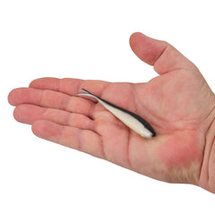 Gulp! Alive! Minnow