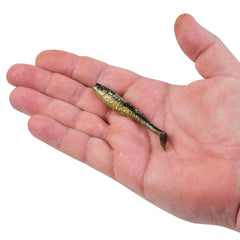 Gulp! Alive! Paddleshad