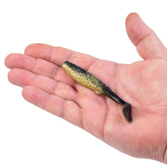 Gulp! Alive! Paddleshad