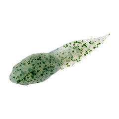 Gulp! Alive! Tadpole