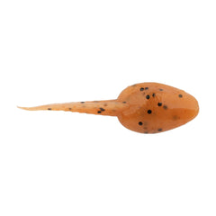 Gulp! Alive! Tadpole