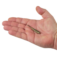 Gulp! Minnow