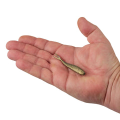 Gulp! Minnow