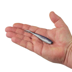 Gulp! Minnow
