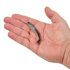 Gulp! Paddleshad