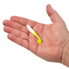 Gulp! Paddleshad