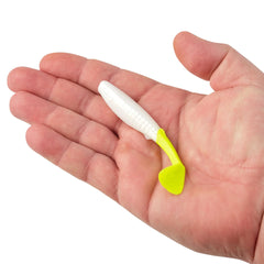 Gulp! Paddleshad