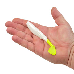 Gulp! Paddleshad