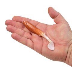 Gulp! Paddleshad