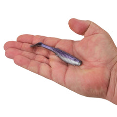 Gulp! Paddleshad