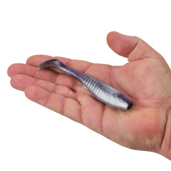 Gulp! Paddleshad