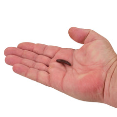 Gulp! Pinched Crawler
