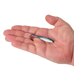 Gulp! Saltwater Paddleshad