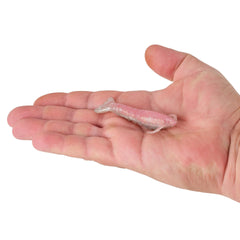 Gulp! Saltwater Shrimp