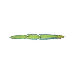 Magic Swimmer Saltwater