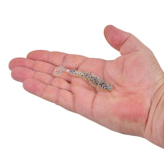 PowerBait Bonefish