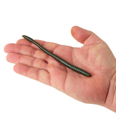 PowerBait Bottom Hopper