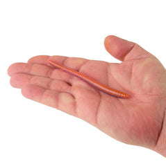 PowerBait Bottom Hopper
