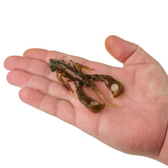 PowerBait Clatter Craw