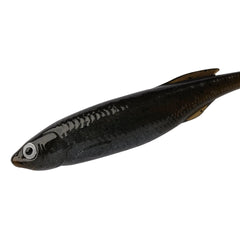 PowerBait Drip Swimmer