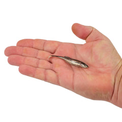 PowerBait Drip Swimmer
