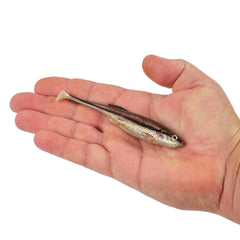 PowerBait Drip Swimmer