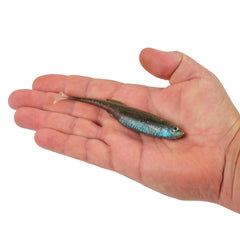 PowerBait Drip Swimmer
