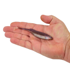 PowerBait Drip Swimmer