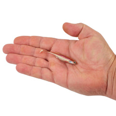 PowerBait Drip Swimmer