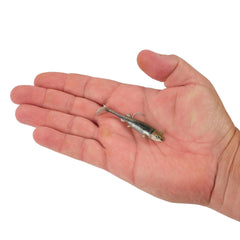 PowerBait Minnotator