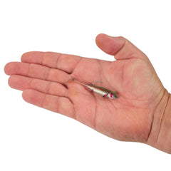 PowerBait Minnotator