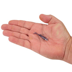 PowerBait Minnotator