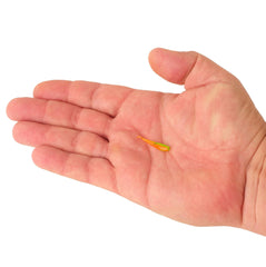 PowerBait Minnow