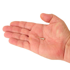 PowerBait Minnow