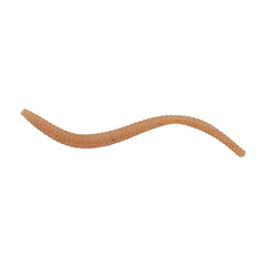PowerBait Power Floating Trout Worm