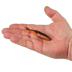 PowerBait PowerStinger