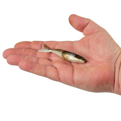 PowerBait PowerStinger