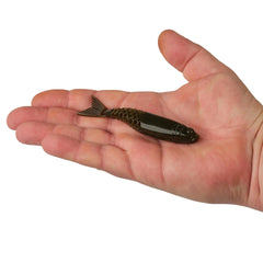 PowerBait PowerStinger