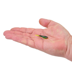 PowerBait Power Switch