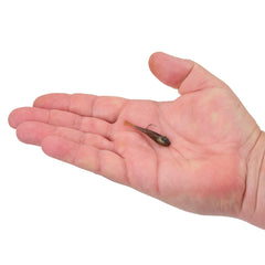 PowerBait Power Switch