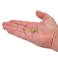 PowerBait Power Wigglers