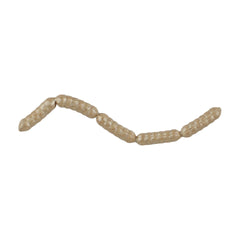 PowerBait Power Wigglers
